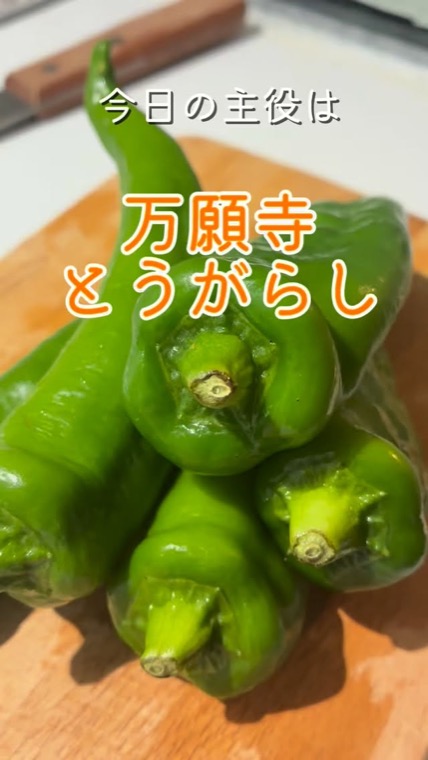 今日の主役は万願寺とうがらし